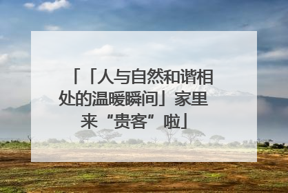「人与自然和谐相处的温暖瞬间」家里来“贵客”啦