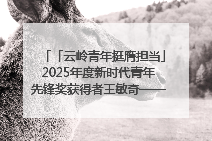 「云岭青年挺膺担当」2025年度新时代青年先锋奖获得者王敏奇——澜沧江上好渔人