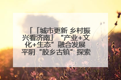 「城市更新 乡村振兴看济南」“产业+文化+生态”融合发展 平阴“胶乡古镇”探索振兴路径成效显著