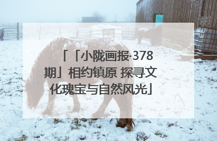 「小陇画报·378期」相约镇原 探寻文化瑰宝与自然风光