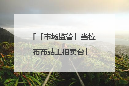 「市场监管」当拉布布站上拍卖台