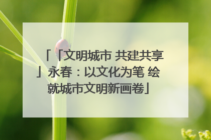 「文明城市 共建共享」永春：以文化为笔 绘就城市文明新画卷