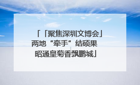 「聚焦深圳文博会」两地“牵手”结硕果 昭通皇菊香飘鹏城