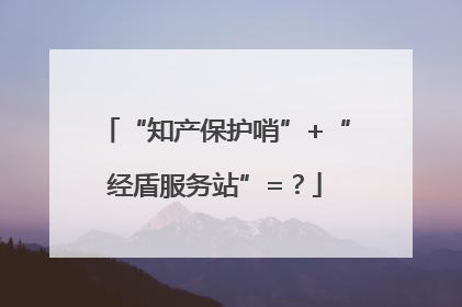 “知产保护哨”+“经盾服务站”=？
