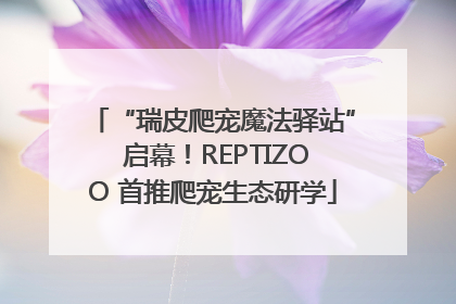“瑞皮爬宠魔法驿站” 启幕！REPTIZOO 首推爬宠生态研学