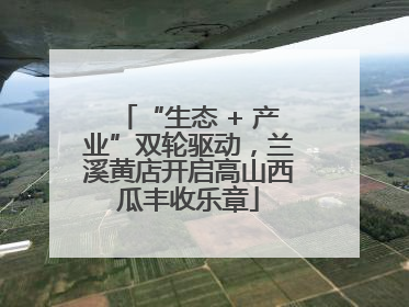 “生态 + 产业”双轮驱动，兰溪黄店开启高山西瓜丰收乐章