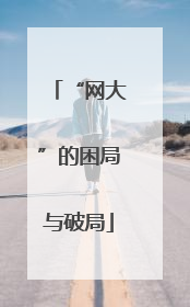 “网大”的困局与破局