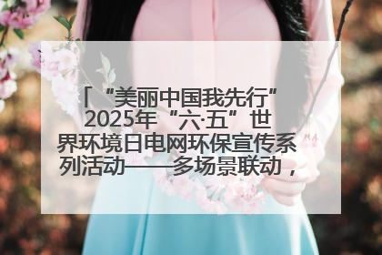 “美丽中国我先行” 2025年“六·五”世界环境日电网环保宣传系列活动——多场景联动，共筑生态发展新图景