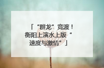 “群龙”竞渡！衡阳上演水上版“速度与激情”
