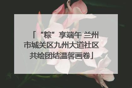 “粽”享端午 兰州市城关区九州大道社区共绘团结温馨画卷