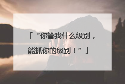 “你管我什么级别，能抓你的级别！”