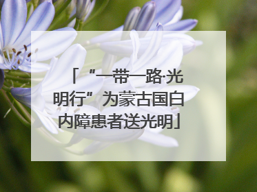 “一带一路·光明行”为蒙古国白内障患者送光明