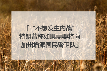 “不想发生内战” 特朗普称如果需要将向加州增派国民警卫队