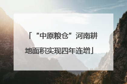 “中原粮仓”河南耕地面积实现四年连增