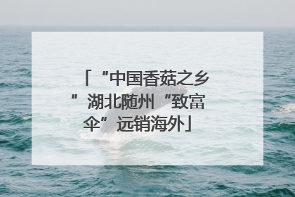 “中国香菇之乡”湖北随州“致富伞”远销海外