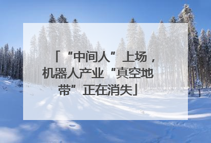 “中间人”上场，机器人产业“真空地带”正在消失