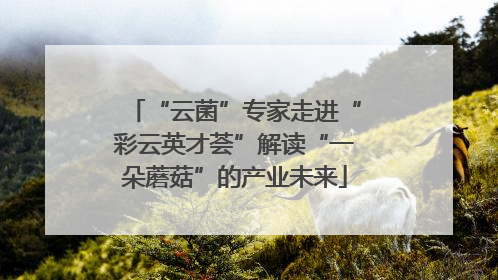 “云菌”专家走进“彩云英才荟”解读“一朵蘑菇”的产业未来