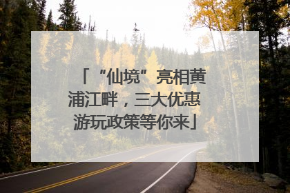 “仙境”亮相黄浦江畔，三大优惠游玩政策等你来