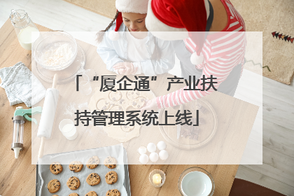 “厦企通”产业扶持管理系统上线