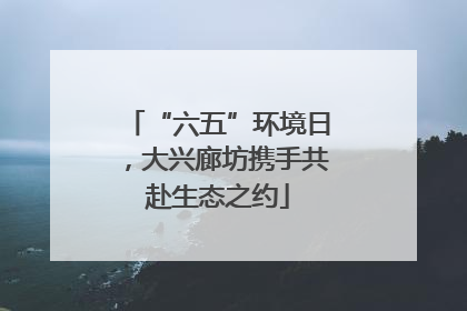 “六五”环境日，大兴廊坊携手共赴生态之约