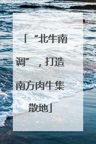 “北牛南调”，打造南方肉牛集散地