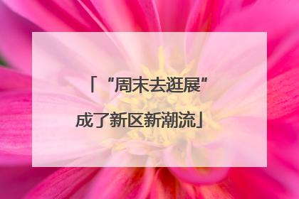 “周末去逛展”成了新区新潮流