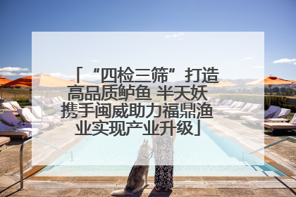 “四检三筛”打造高品质鲈鱼 半天妖携手闽威助力福鼎渔业实现产业升级