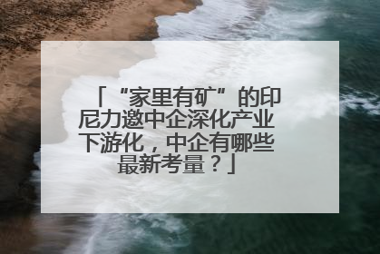 “家里有矿”的印尼力邀中企深化产业下游化，中企有哪些最新考量？