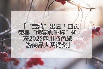 “宝藏”出圈！自贡荣县“熊猫咖啡杯”斩获2025四川特色旅游商品大赛铜奖