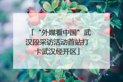 “外媒看中国”武汉段采访活动首站打卡武汉经开区