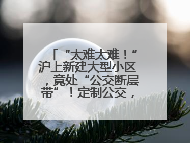 “太难太难！”沪上新建大型小区，竟处“公交断层带”！定制公交，又成“鸡肋”