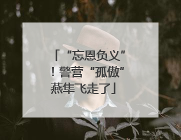 “忘恩负义”！警营“孤傲”燕隼飞走了