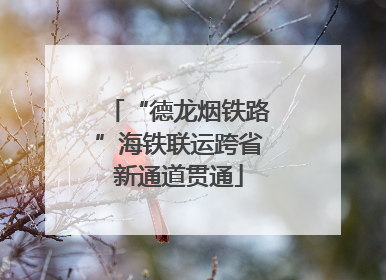 “德龙烟铁路”海铁联运跨省新通道贯通