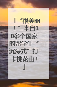 “很美丽！”来自10多个国家的留学生“沉浸式”打卡桃花山！
