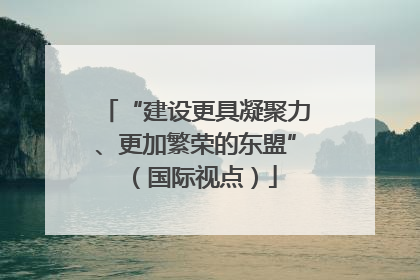 “建设更具凝聚力、更加繁荣的东盟”（国际视点）
