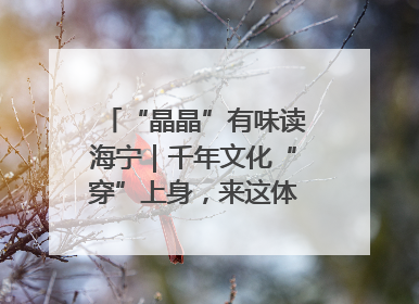 “晶晶”有味读海宁｜千年文化“穿”上身，来这体验非遗旅拍！