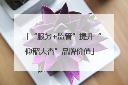 “服务+监管”提升“仰韶大杏”品牌价值