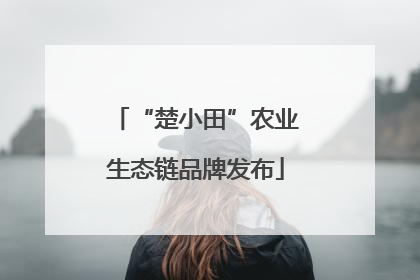 “楚小田”农业生态链品牌发布