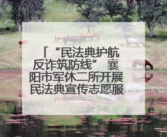 “民法典护航 反诈筑防线” 襄阳市军休二所开展民法典宣传志愿服务活动