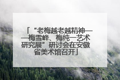 “老梅越老越精神——梅雪峰、梅纯一艺术研究展”研讨会在安徽省美术馆召开