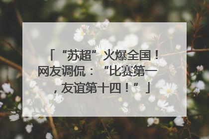 “苏超”火爆全国！网友调侃：“比赛第一，友谊第十四！”
