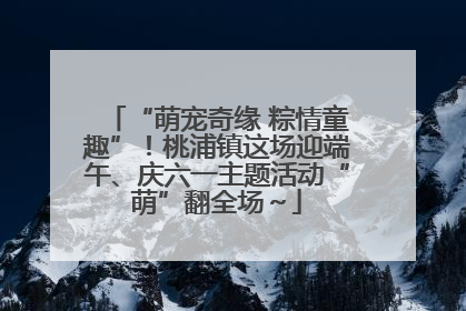“萌宠奇缘 粽情童趣”！桃浦镇这场迎端午、庆六一主题活动“萌”翻全场～