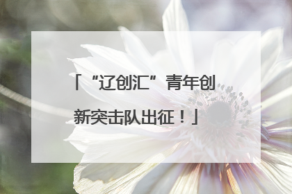 “辽创汇”青年创新突击队出征！