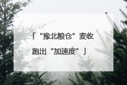 “豫北粮仓”麦收跑出“加速度”