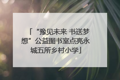 “豫见未来 书送梦想”公益图书室点亮永城五所乡村小学
