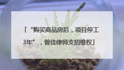 “购买商品房后，项目停工3年”，曾佳律师支招维权