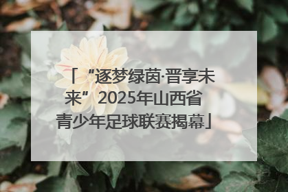 “逐梦绿茵·晋享未来”2025年山西省青少年足球联赛揭幕
