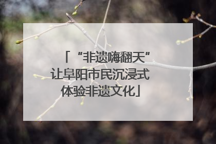 “非遗嗨翻天”让阜阳市民沉浸式体验非遗文化