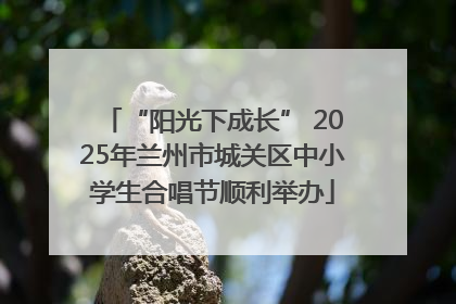 “阳光下成长” 2025年兰州市城关区中小学生合唱节顺利举办