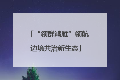 “领群鸿雁”领航边境共治新生态